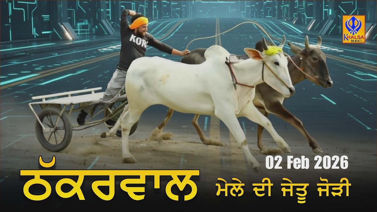 ਠੱਕਰਵਾਲ ਮੇਲੇ ਦੀ ਜੇਤੂ ਜੋੜੀ | 02 Feb 2026