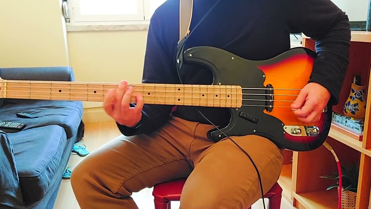 The Beatles / LOVELY RITA - Bass Cover