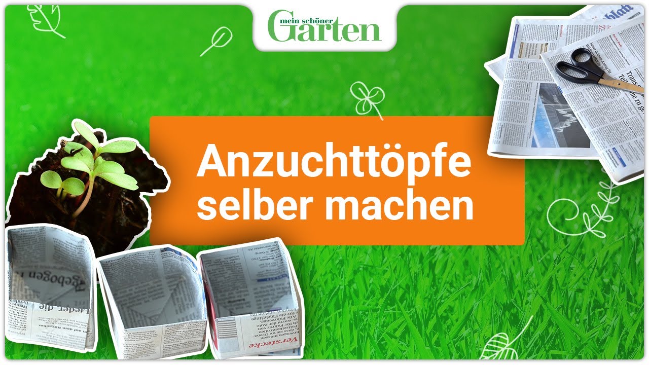 Anzuchtt&ouml;pfe aus Zeitungspapier selber machen - Nachhaltige Gartenpraxis