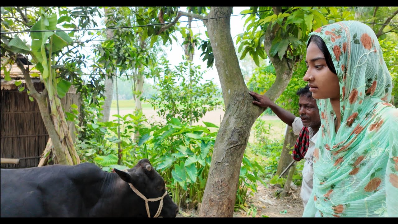 গরু বিক্রি করতে না পেরে মন খারাপ তারার | Doyel Agro