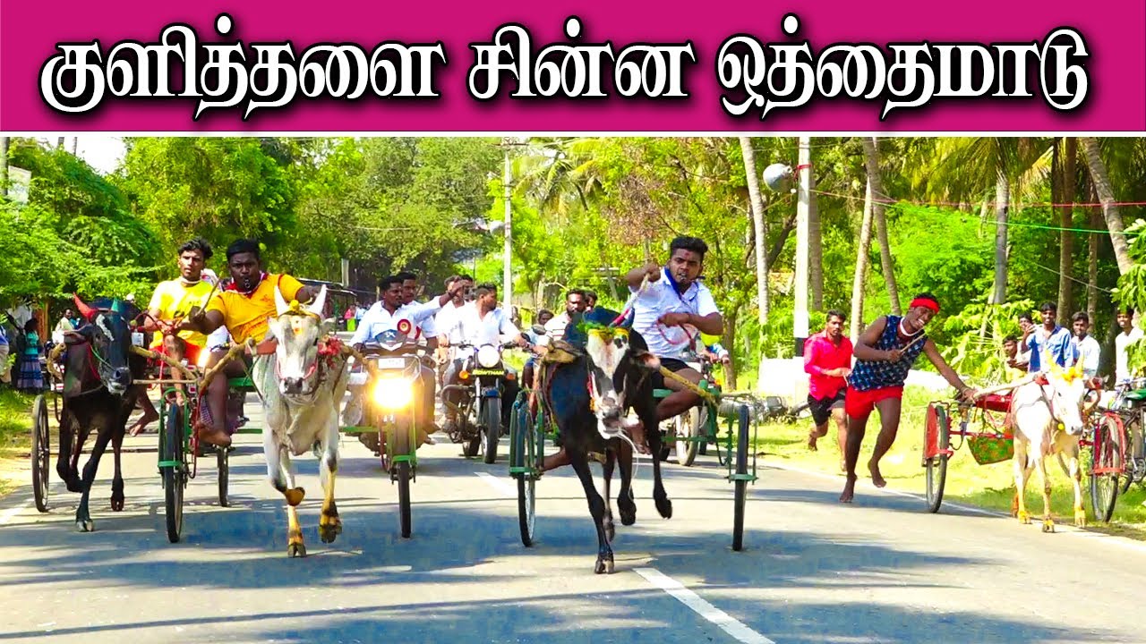 6சின்னஒத்தமாடு-குளித்தலை _ பந்தயம் 09.04.2023#krish_studio