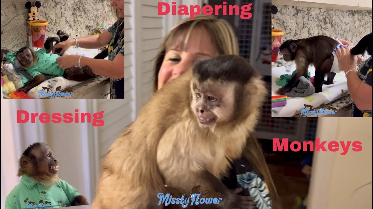 Dressing & diapering our Monkeys 🐵❤️👍🏻😍