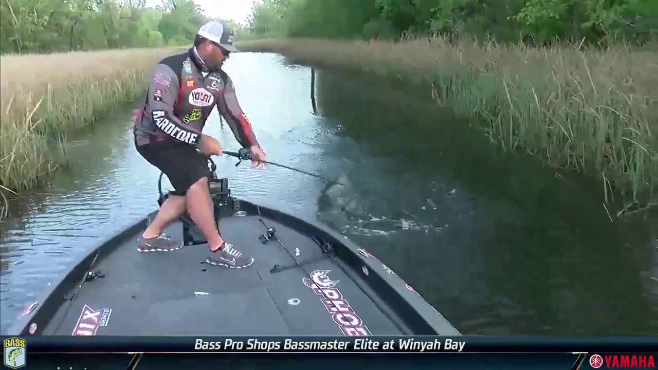 2019 Bassmaster LIVE at Winyah Bay - Friday
