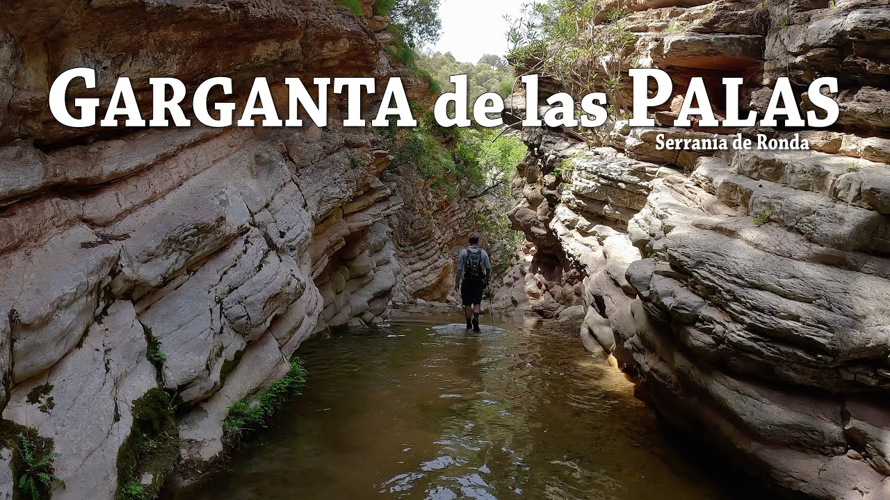 Garganta de las Palas, Serranía de Ronda
