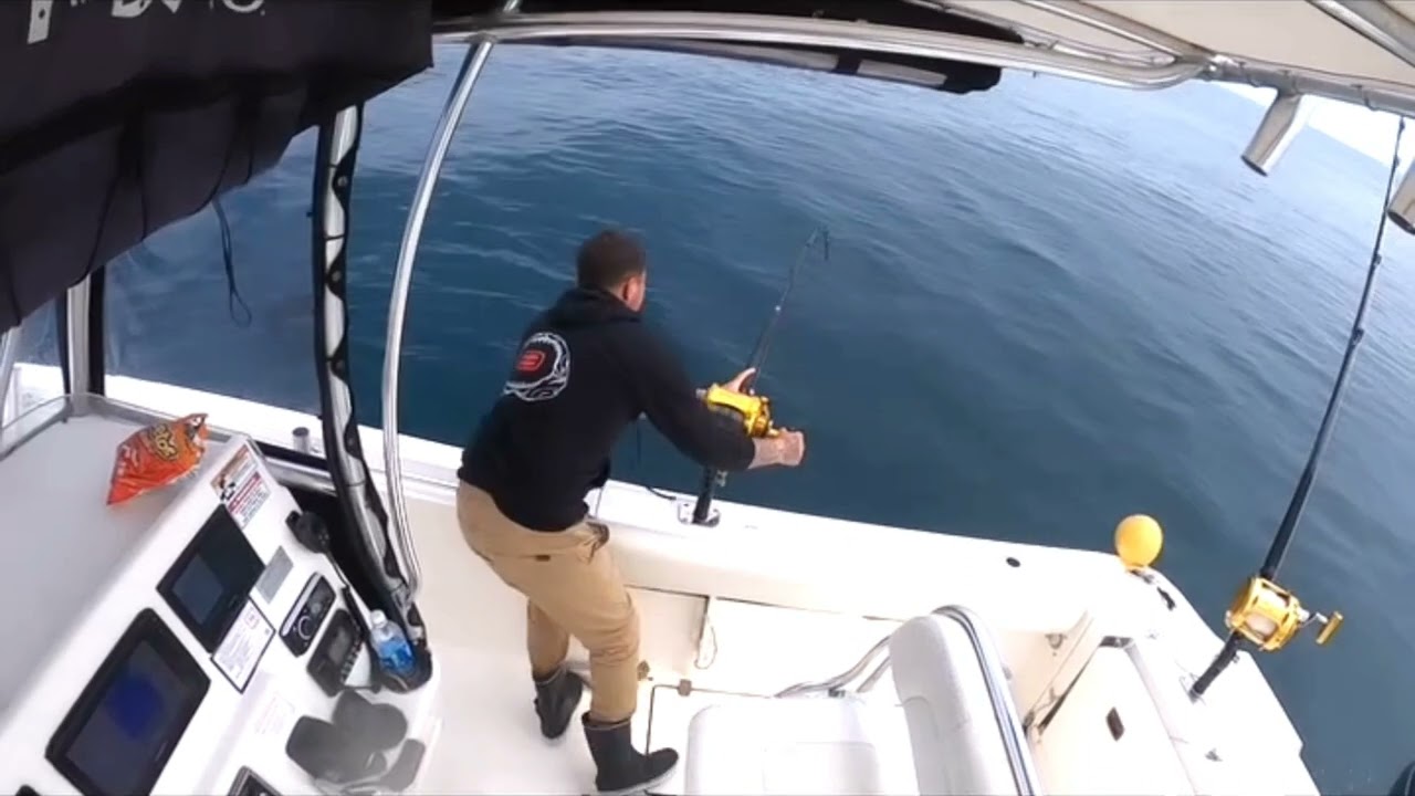 MONSTER Rips Bait out of my Hand