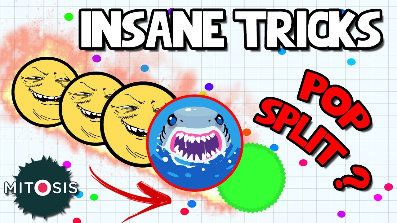 Mitosis the Game - Insane Tricks - leandrofq ft claytonfq - New Agario