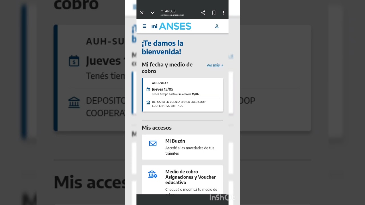 pago voluntario Anses.