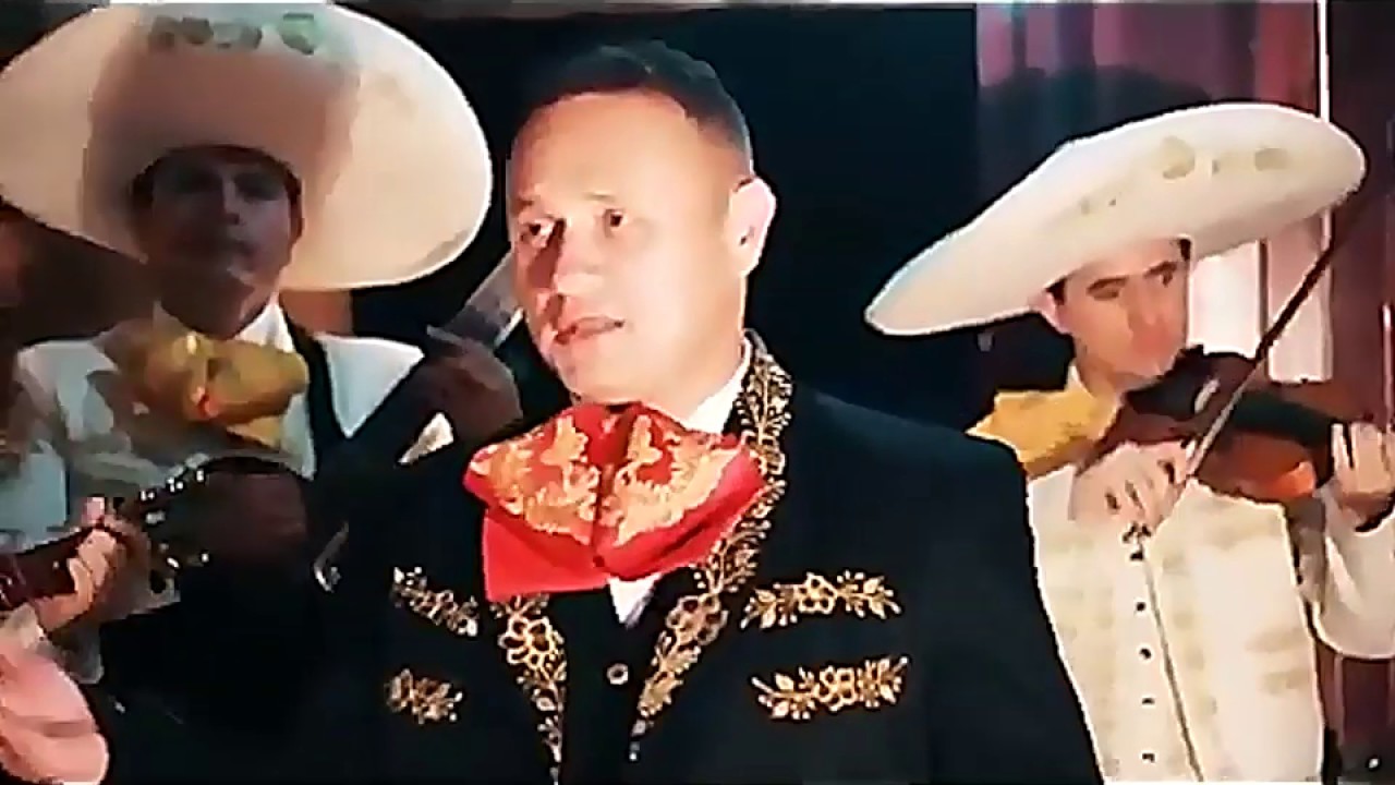 LE HACE FALTA UN BESO/MARIACHI VOCES DE AMÉRICA MEDELLÍN (COVER) EL CHAPO DE SINALOA