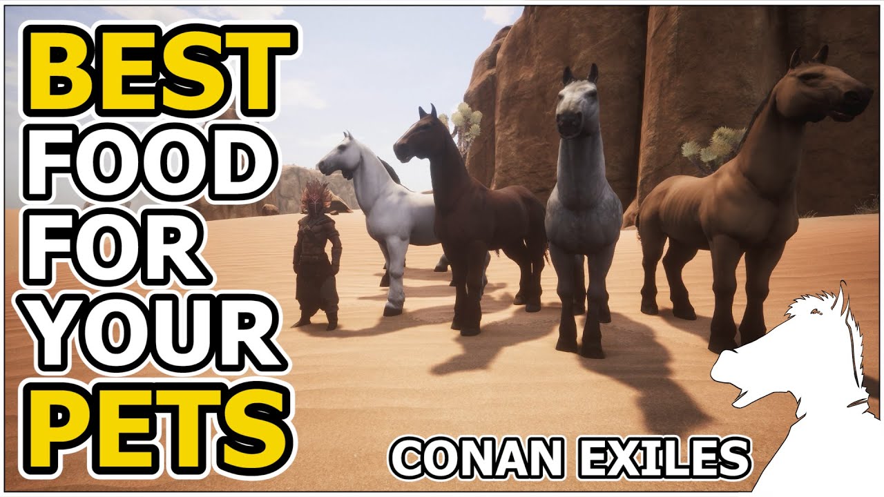 Best food for your Pets | CONAN EXILES