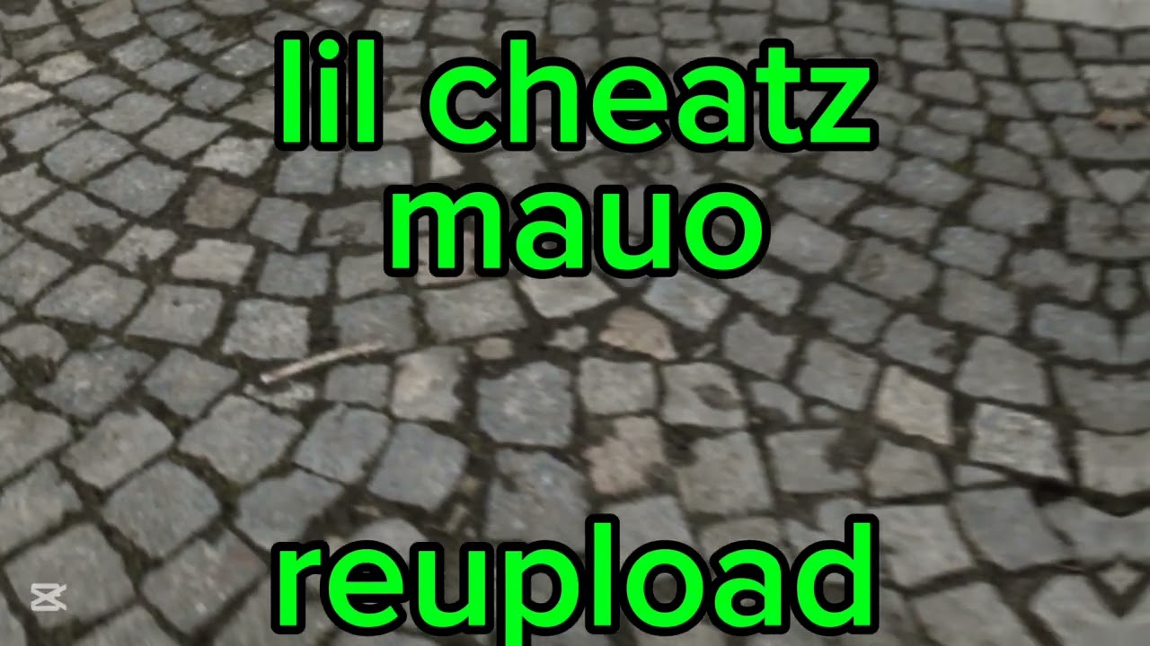 lil cheatz - mauo (reupload)