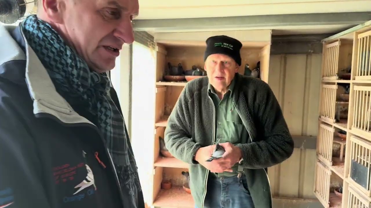 Gołębniki Jana Pappensa, czyli o tym co ważniejsze, luksusy, czy wentylacja?