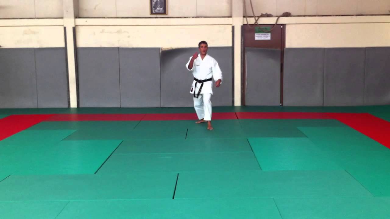 Iki Ashi, reculer d'un pas [karate-blog.net]