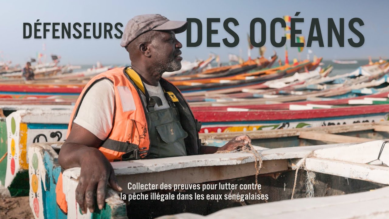 D&eacute;fenseurs des oc&eacute;ans
