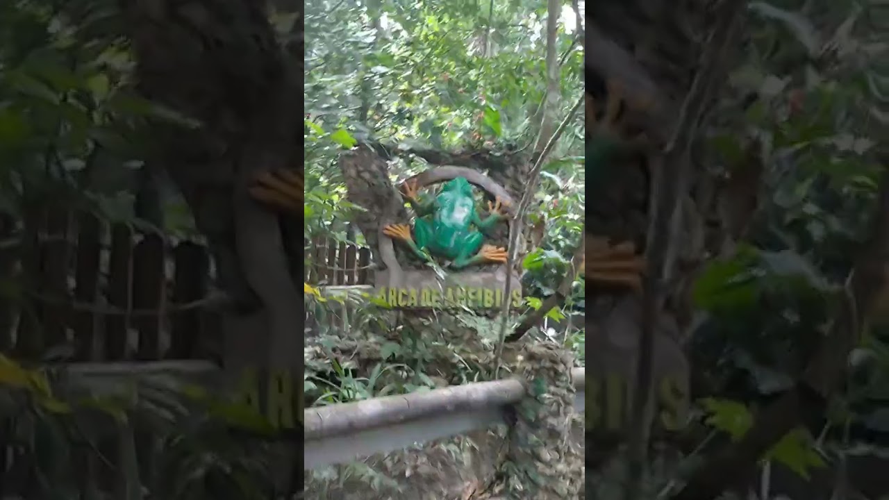 zoomat zoológico Miguel Álvarez del Toro.........