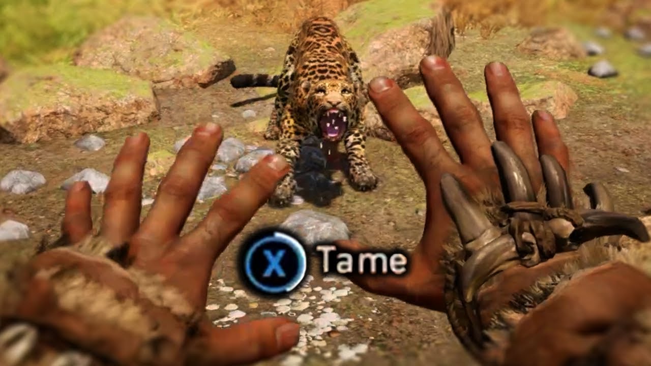 The 