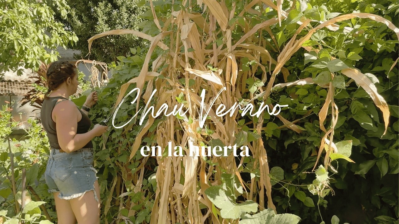 Chau Verano | Primeras siembras de otoño, cosecha de aromáticas y otra yerbas