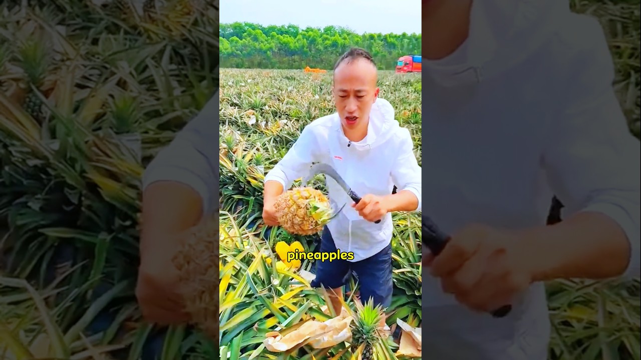 this fruit grows without seeds 