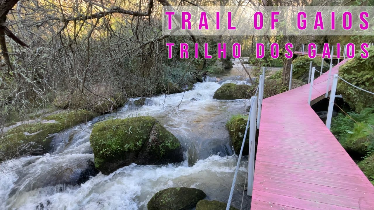 TRAIL OF GAIOS (TRILHO DOS GAIOS) | Watch this before you travel to Tabua, Portugal