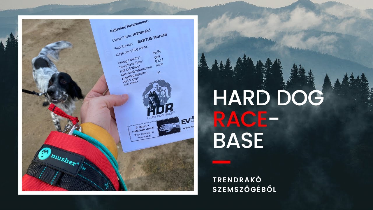 Ilyen volt az idei Hard #Dog #Race #base 🐕-A legkeményebb hazai kutyás futás#trendrako #tiktok #run