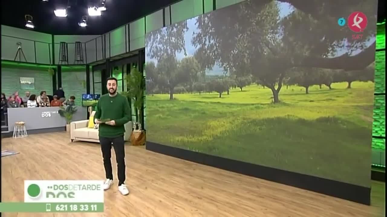 Dehesa boyal, 200.000 hectáreas en la región de ingente biodiversidad | Dos de tarde