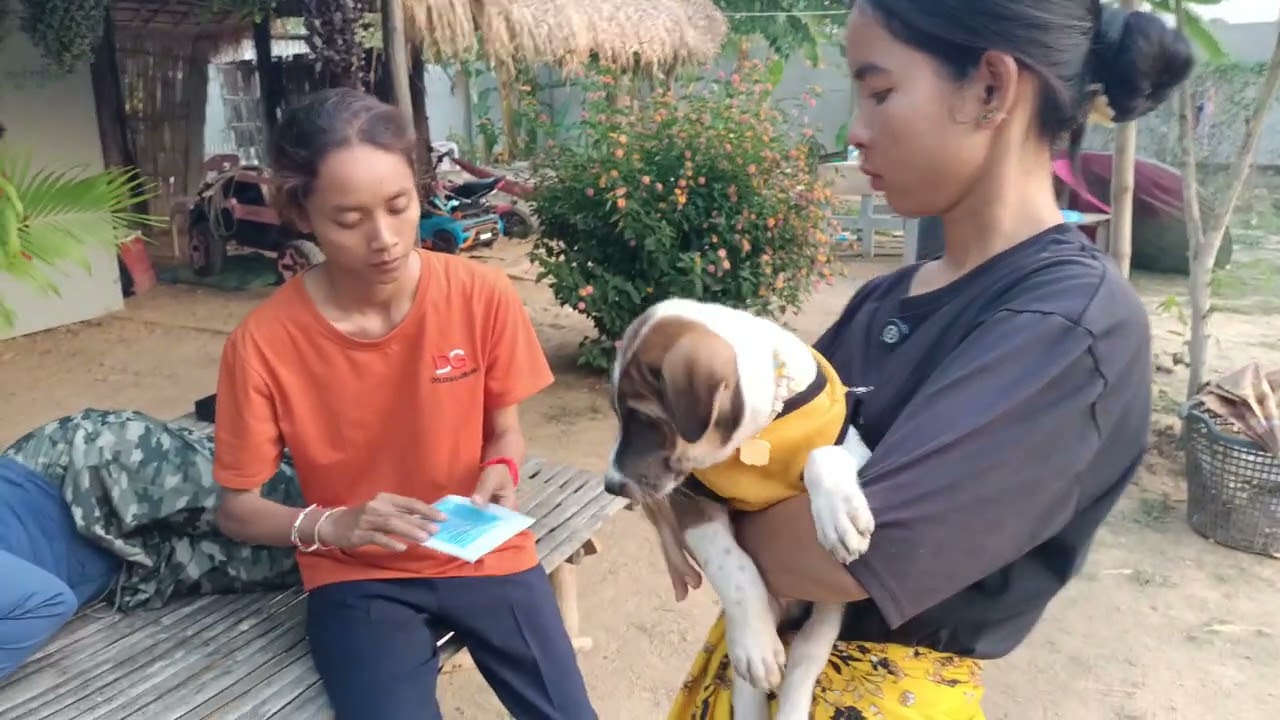 ម៉ែស្រលាញ់ឆ្កែជាងកូន