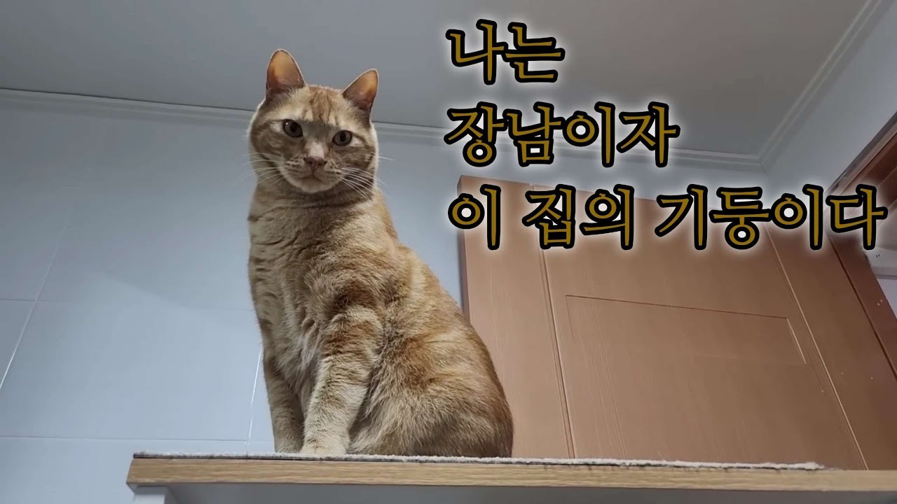 입문자를 위한 가이드: 무니  @Metalnam 