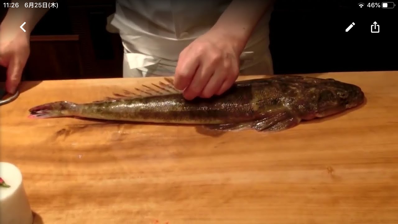 《コチ(鯒)の捌き方》・・・・大和の 和の料理《刺身》