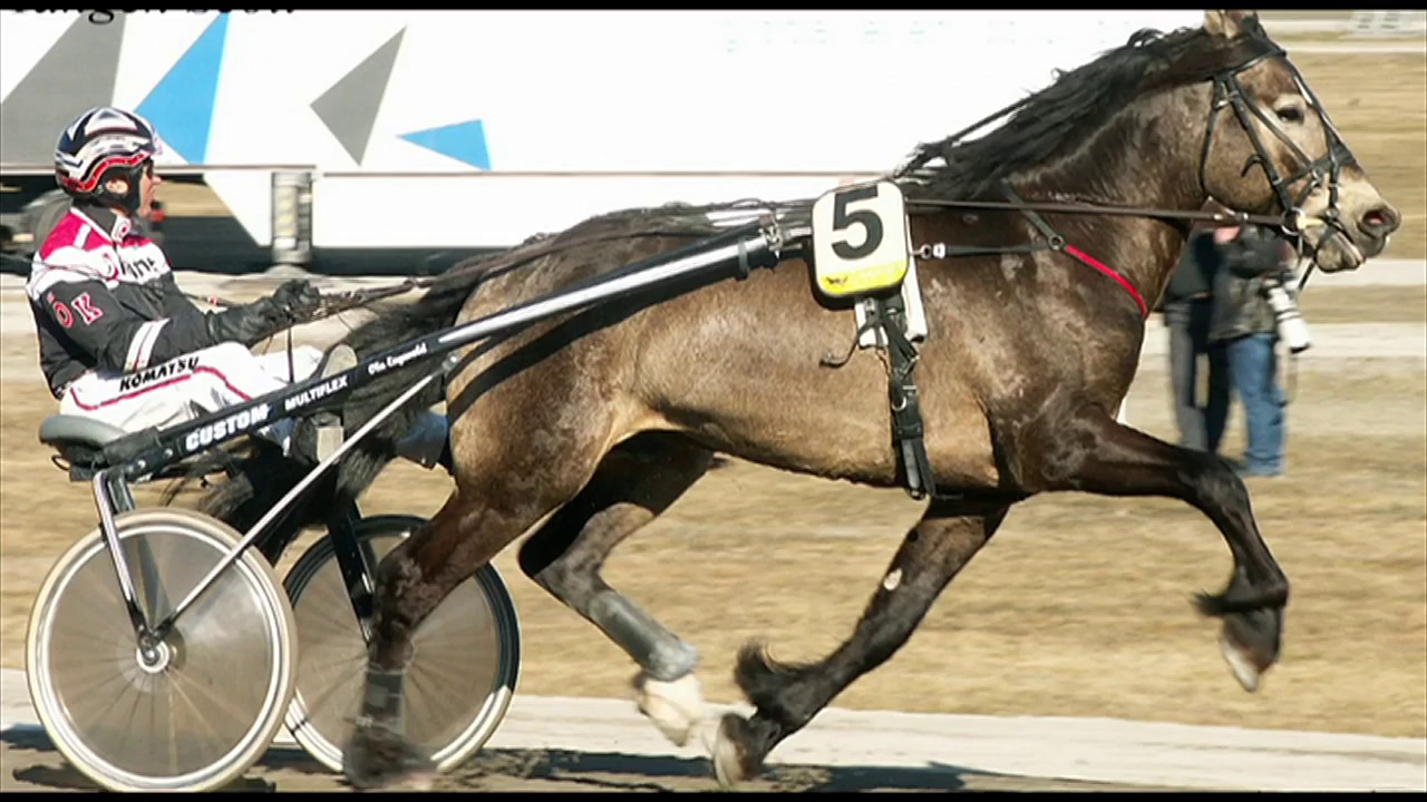 Slekters gang i Jacob Meyers pokalløp