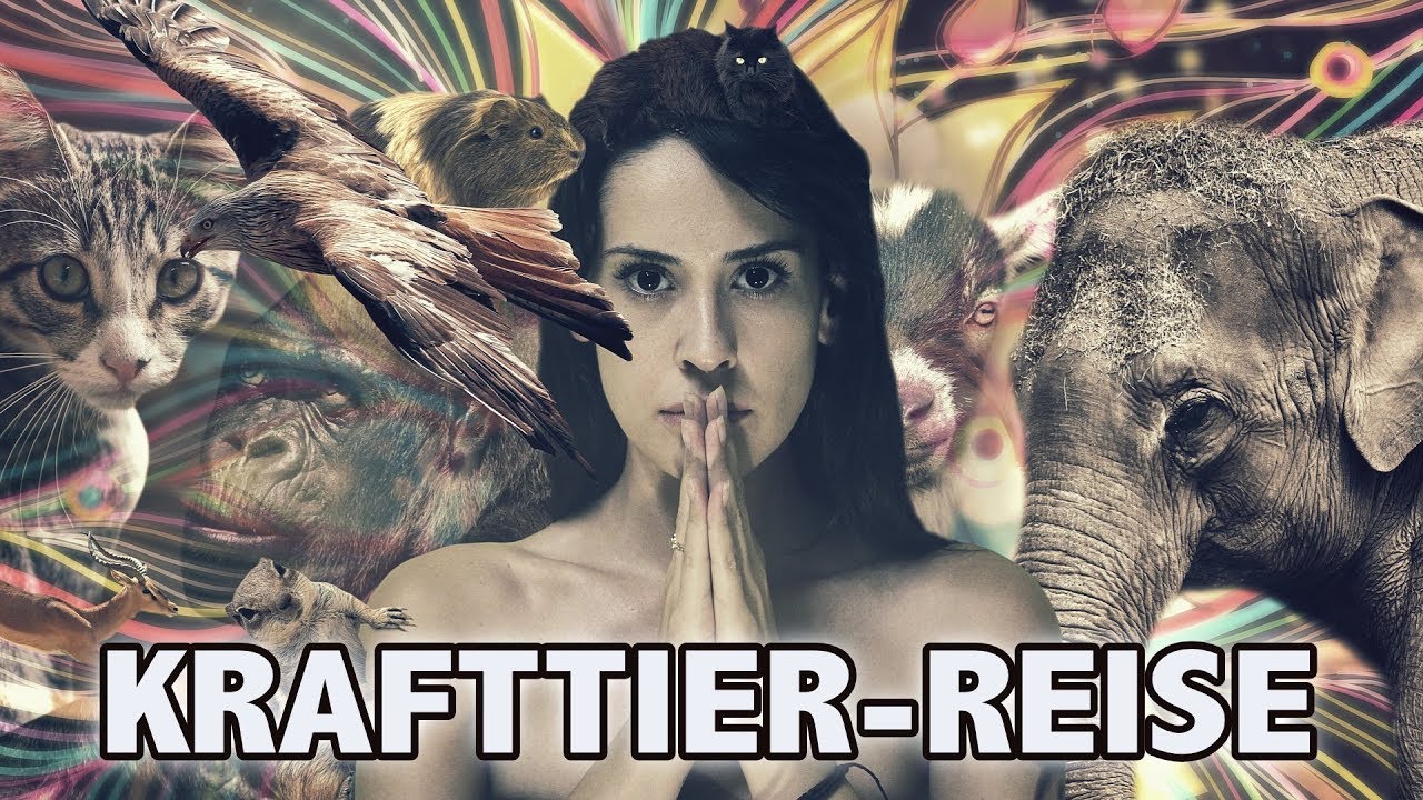 Meditation: Finde dein Krafttier | Schamanische Reise | Krafttierreise