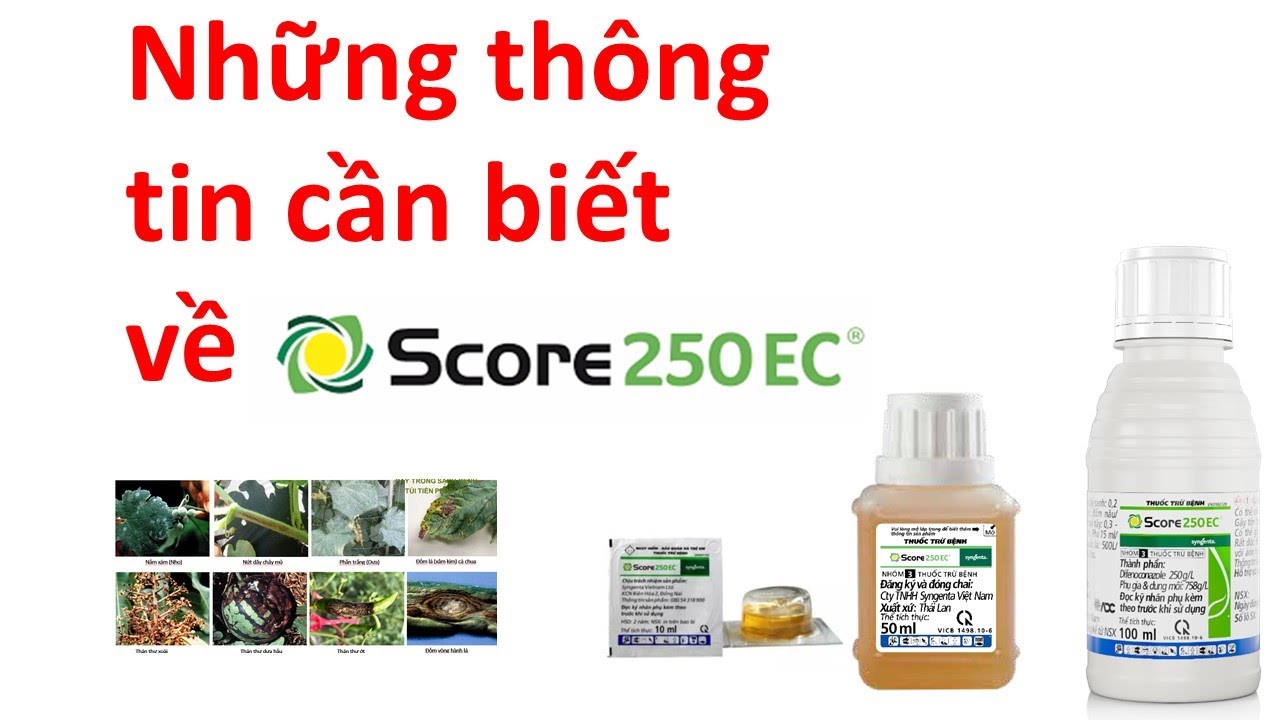 Bạn có biết Score 250EC Syngenta trị bệnh trên cây trồng | Sương mai | Thán Thư | rỉ sắt | đốm lá