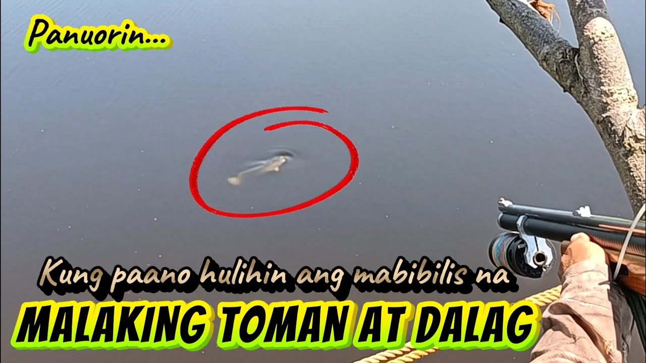 MABIBILIS NA TOMAN AT DALAG DI NAKALIGTAS SA AKING DART/JACKPOT SA MGA MAMAW/MHEDDS JOE TV/VLOG#538