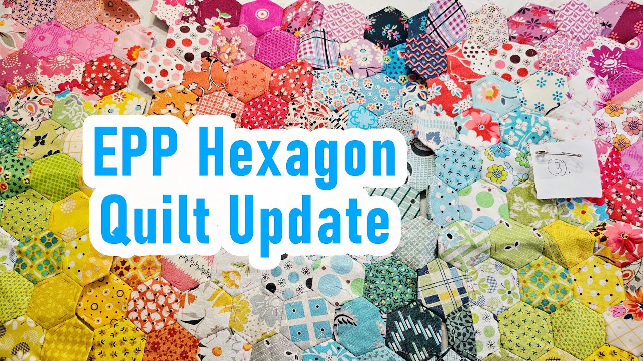 English Paper Piecing Hexagon Quilt Update Denyse Schmidt Fabric