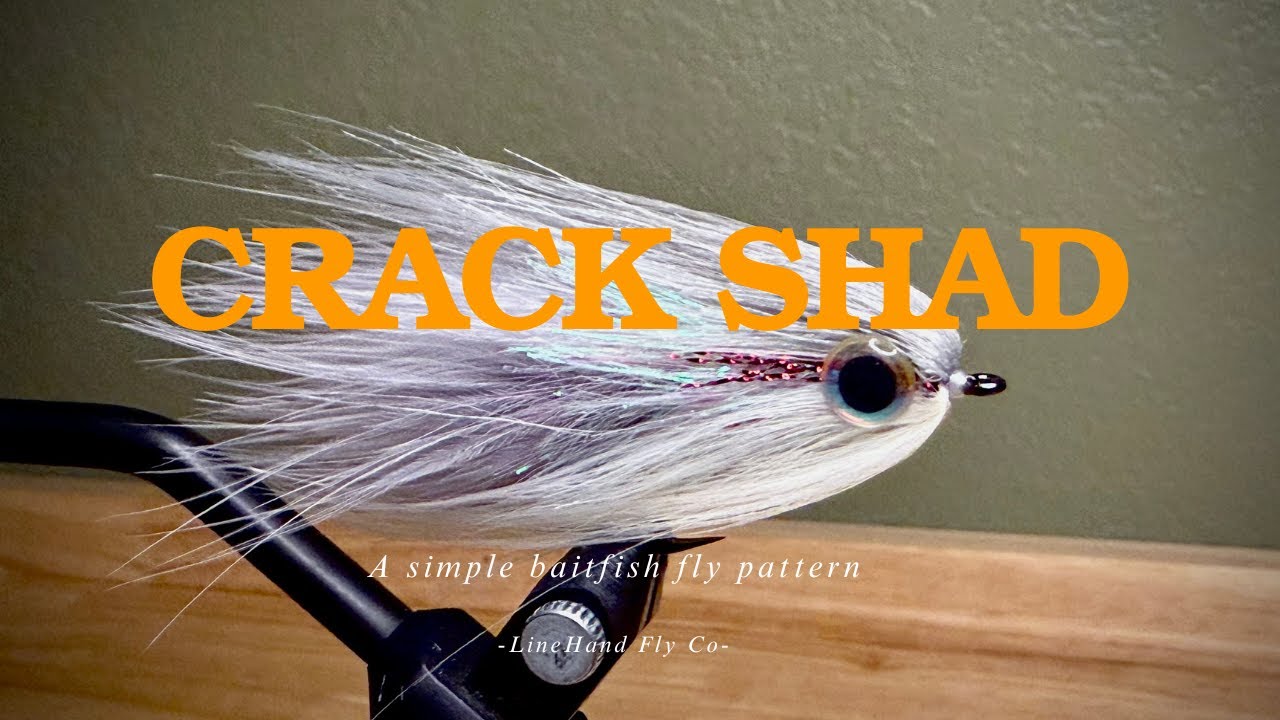 Crack Shad  - A simple baitfish fly -