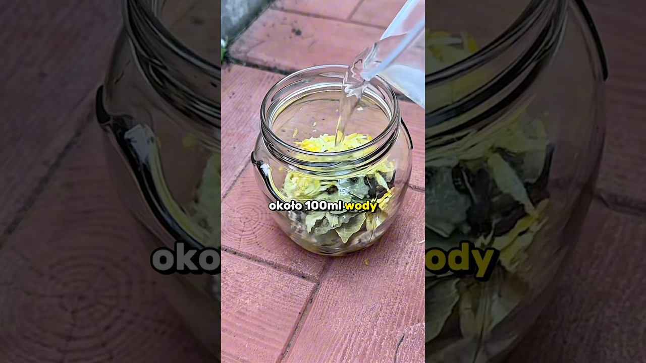 Naturalna moc w Twoich rękach! #szklarnia #ogrodnictwo #poliwęglan #ogr&oacute;d #szklarniaogrodowa