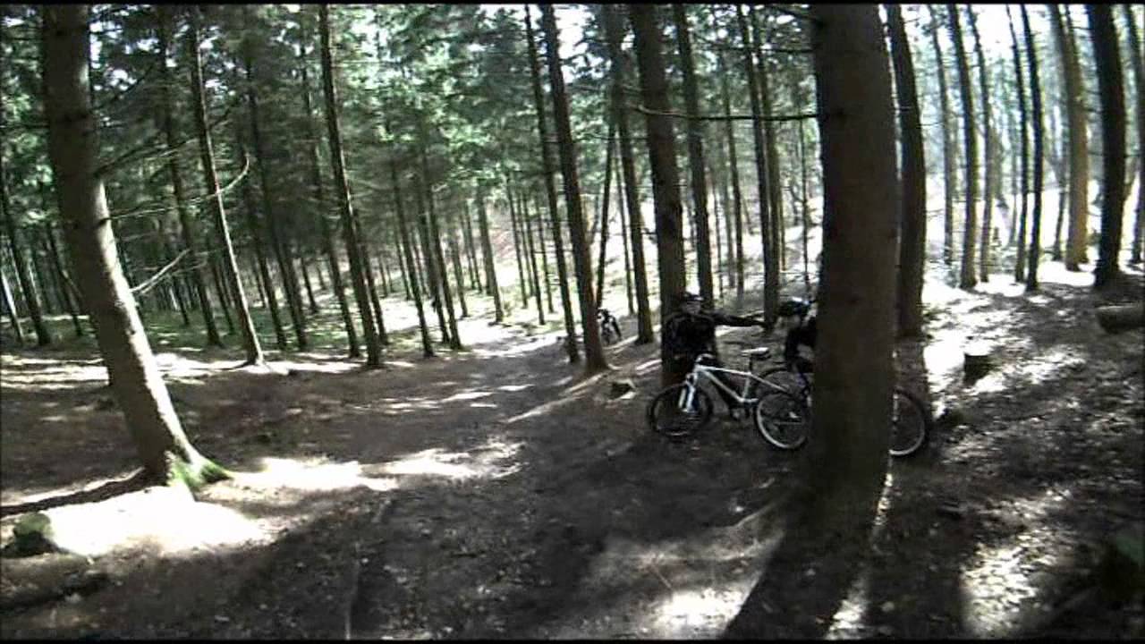 MTB i Rold Skov