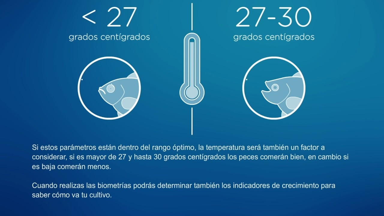 4 4 Crecimiento