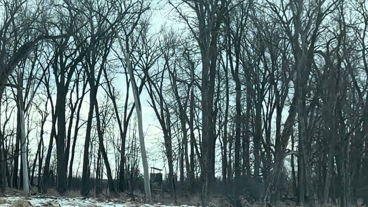 Snow covered backwoods drive   Wis
