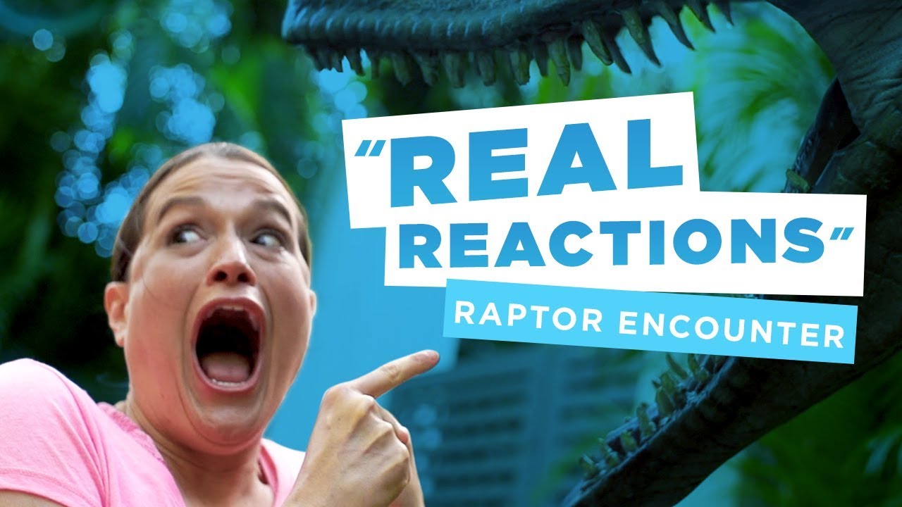 Real Reactions | Raptor Encounter