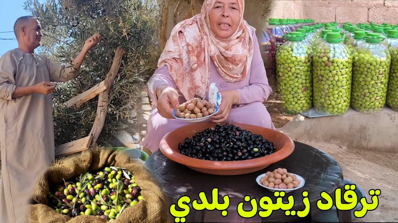 زيتون عند مي هموشة دور العام ها الطريقة الصحيحة باش كترقدو