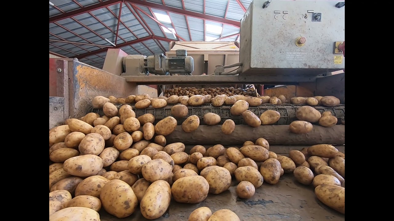 Conditionnement Pomme De Terre