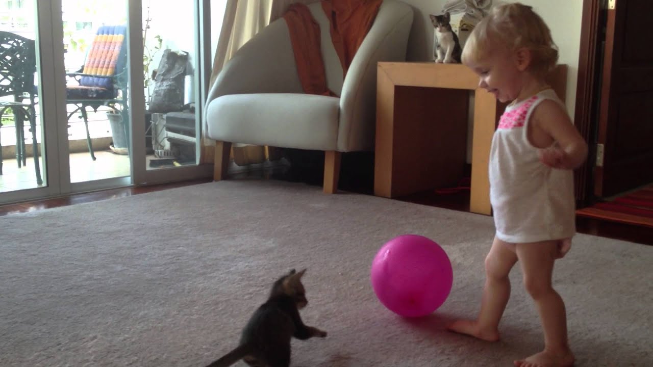Charlotte, Balloon, Kitten