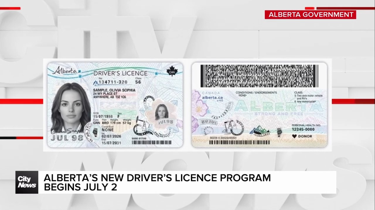 Alberta officially rolls out redesigned driver&rsquo;s licences, ID cards