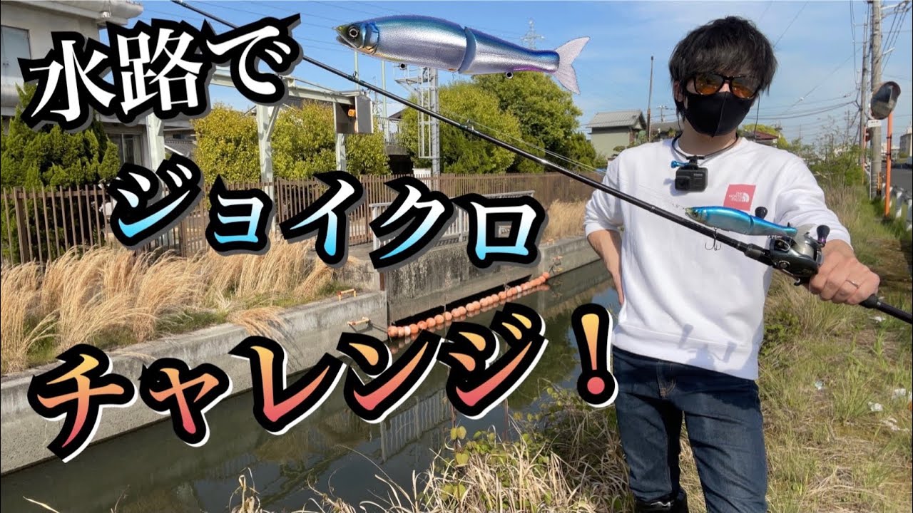 【ジョイクロ178】底丸見えの水路でビッグベイト投げてみた！