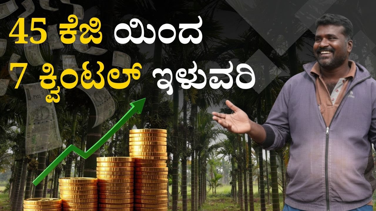 Integrated Arecanut Farming:  900 ಮರಗಳು: 40KG ➜ 7 ಕ್ವಿಂಟಲ್! | 5 ವರ್ಷದ ಅಡಿಕೆ ತೋಟದಲ್ಲಿ ಭಾರೀ ಬದಲಾವಣೆ