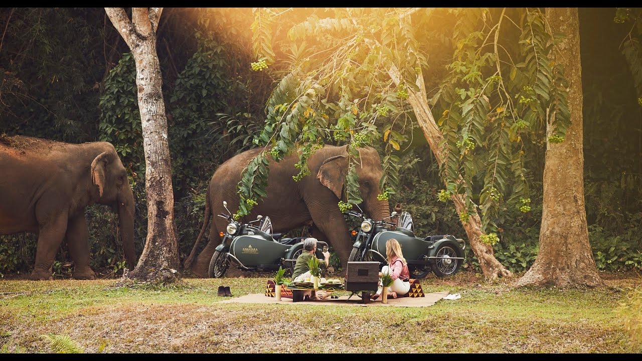 Anantara Golden Triangle Elephant Camp & Resort