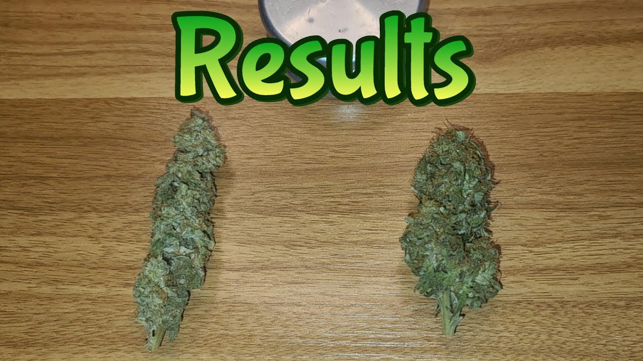 Week 13-15 Autoflowers & Autopots (Results)
