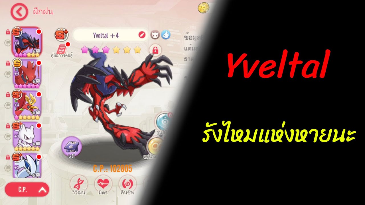 รีวิว Yveltal รังไหมแห่งหายนะ : Mega Monster Th