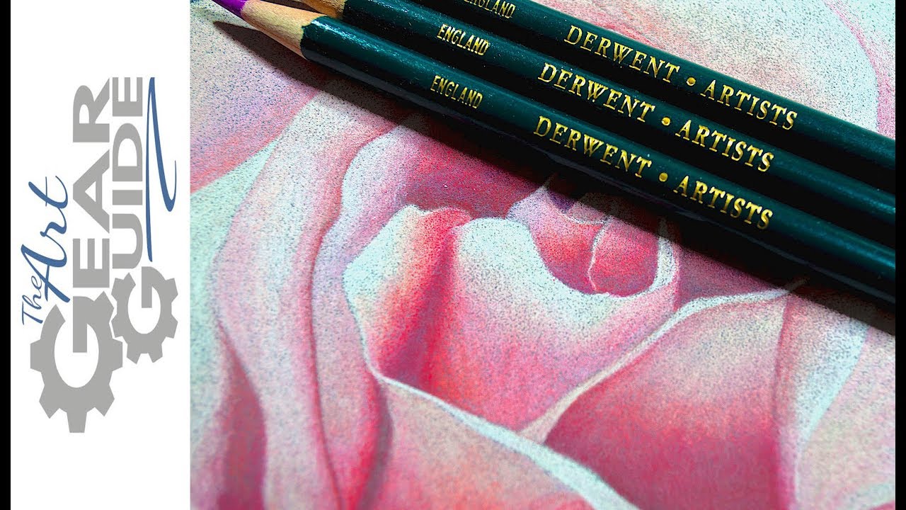 Derwent Artist Rose Speed Painting