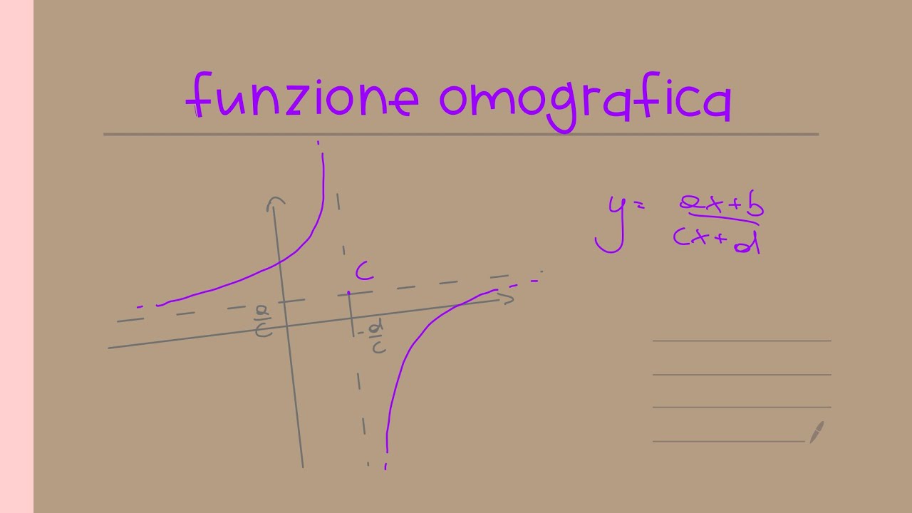 Funzione omografica