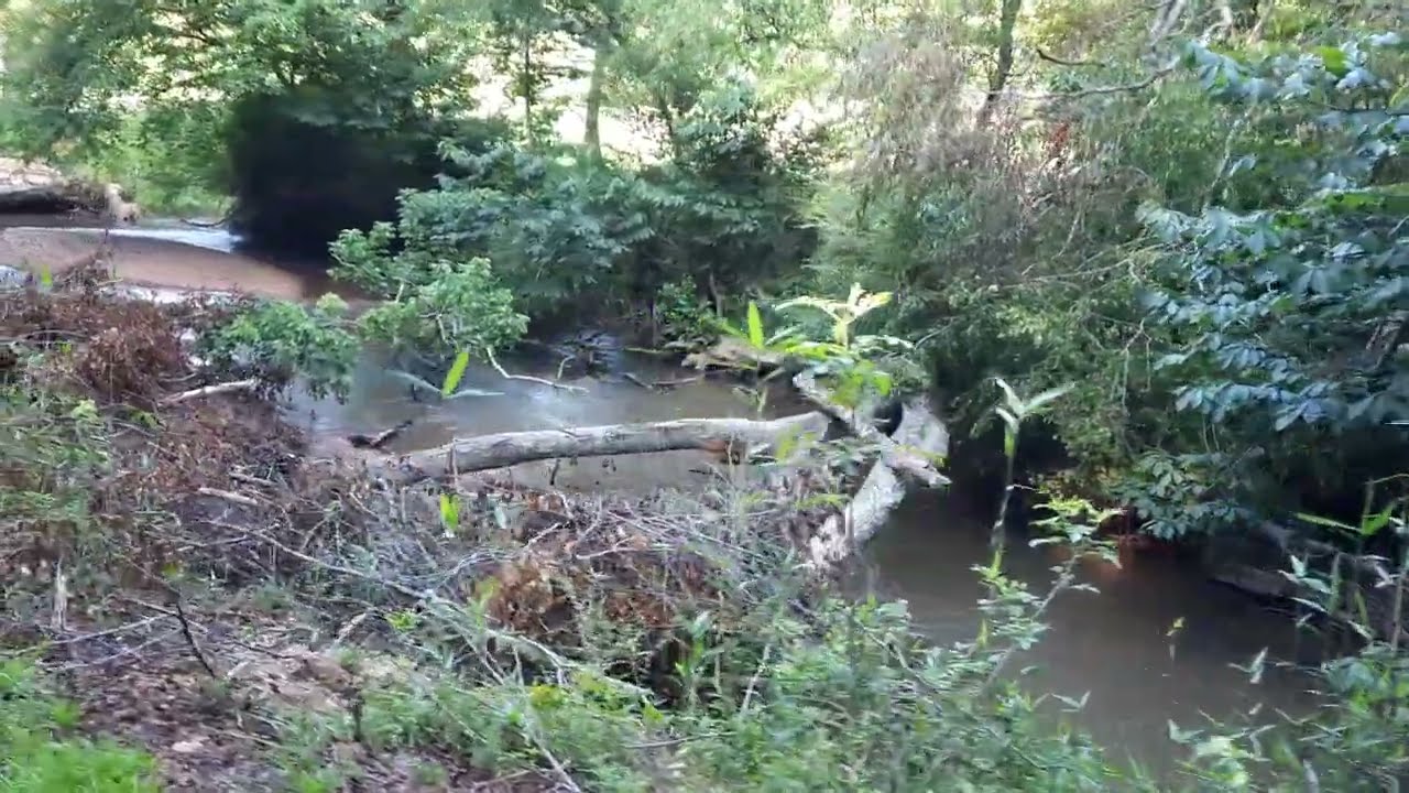 tour of Alabama Gold Camp